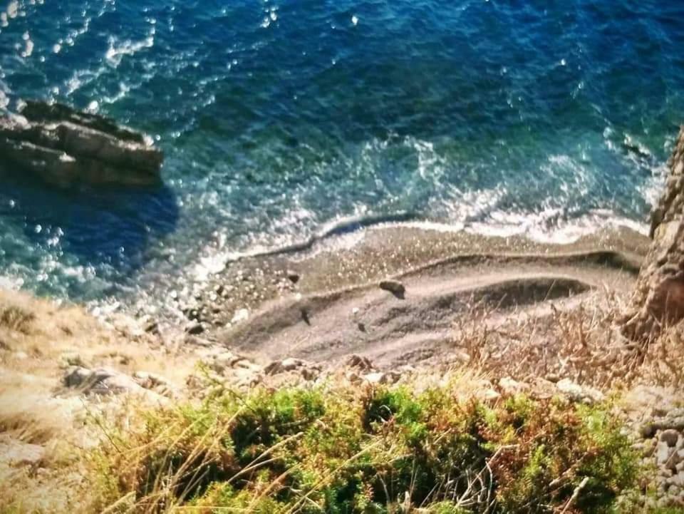 Frankopan 1 Senj (Lika-Senj)
